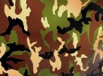 Camouflage Vinyl For Residential/Commercial/Hospitality Applic. (image for) Camouflage Vinyl For Residential/Commercial/Hospitality Applic.